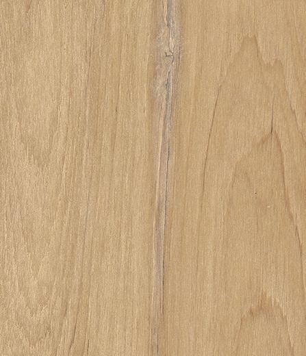 Bosco Primavera 22x120 R