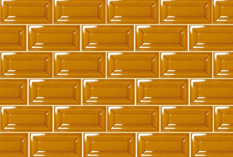 Evolution Inmetro Amber gloss 7x15