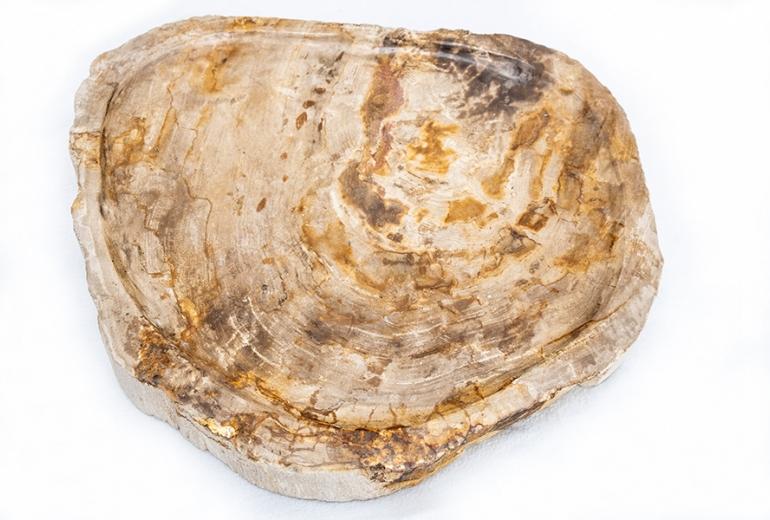 Pladenj Fossil Wood rjavi