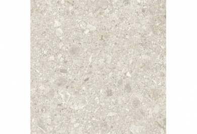 Ceppo Brown 60x60 R 2 cm