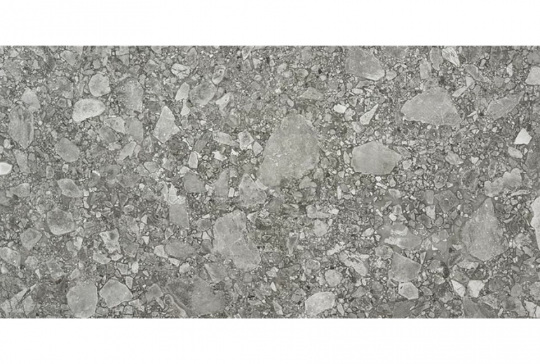 Ceppo Dark 60x120 R 2 cm